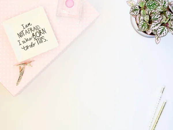 Feminine | Pink | Girly | Styled Office Desktop