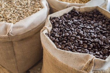 Yeşil ve kahverengi kahve çekirdekleri kavrulmamış ve siyah kahve çekirdekleri çuvalda.