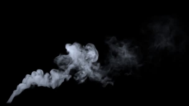 Jemný kouř Pack — Stock video