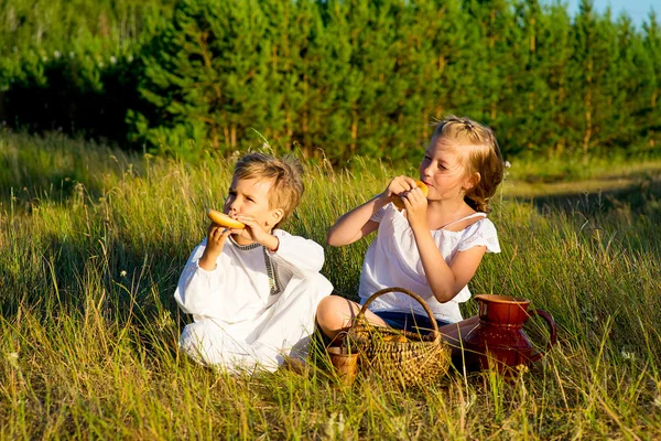 Hermano y hermana en el picnic — Foto de Stock