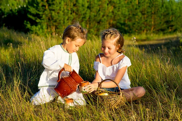 Bror och syster på picknick — Stockfoto