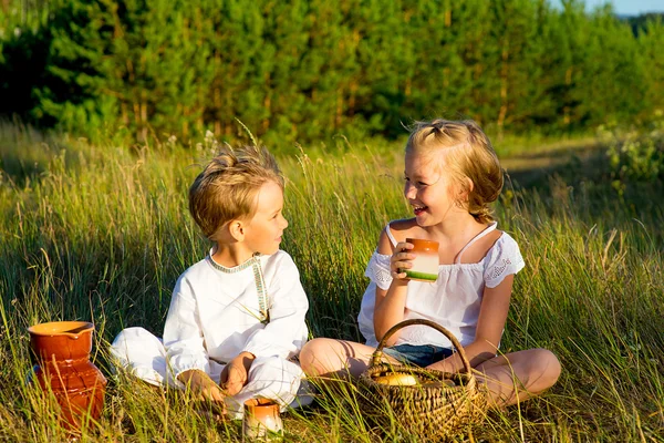 Bruder und Schwester beim Picknick — Stockfoto