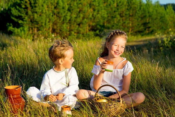 Bruder und Schwester beim Picknick — Stockfoto