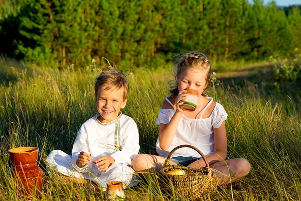 Brat i siostra na piknik — Zdjęcie stockowe