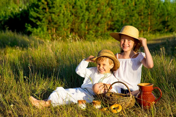 Bruder und Schwester beim Picknick — Stockfoto