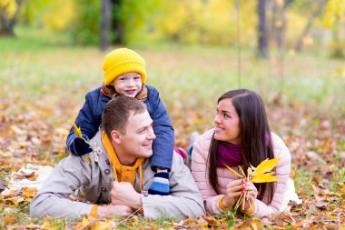 Aile yaprakları sonbahar park üzerinde yalan
