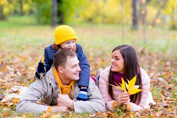 Aile yaprakları sonbahar park üzerinde yalan — Stok fotoğraf