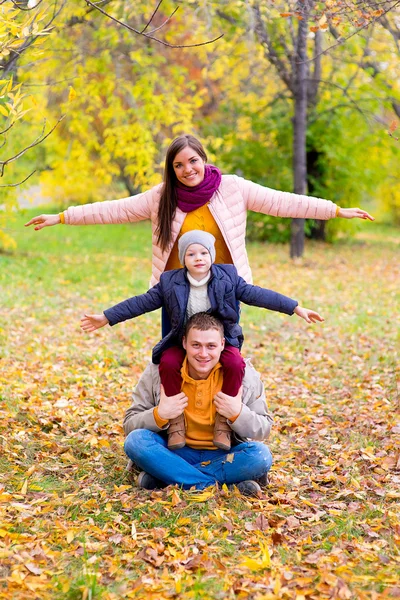 Família fingir avião outono parque — Fotografia de Stock