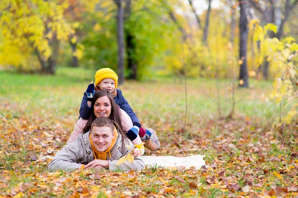 Aile yaprakları sonbahar park üzerinde yalan — Stok fotoğraf