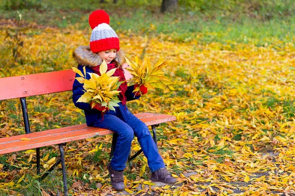 Little girl in autumn park with leafs — Stock Photo, Image