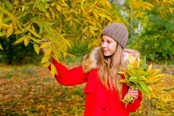 Little girl in autumn park with leafs — Stock Photo, Image