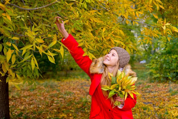Маленька дівчинка в осінньому парку з листям — стокове фото