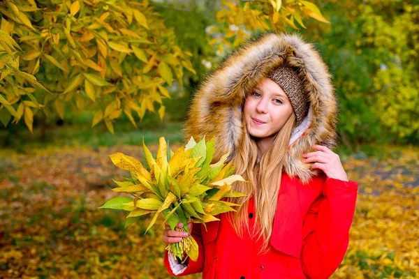 Little girl in autumn park with leafs — Stock Photo, Image