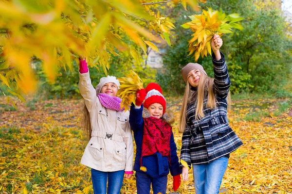 Grupo de chicas en el parque de otoño con hojas — Foto de Stock