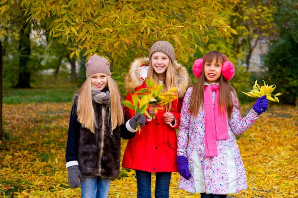 Group of girls in autumn park with leafs — Stock Photo, Image