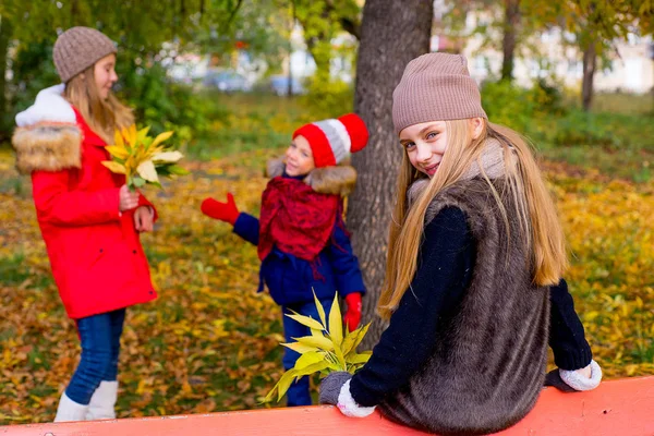 秋の公園の中の女の子のグループを葉します。 — ストック写真