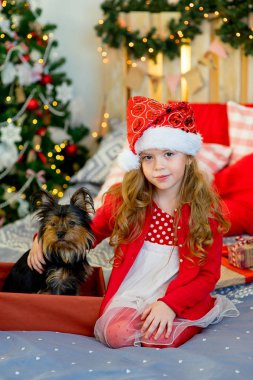 Mutlu küçük kız ve köpek Noel