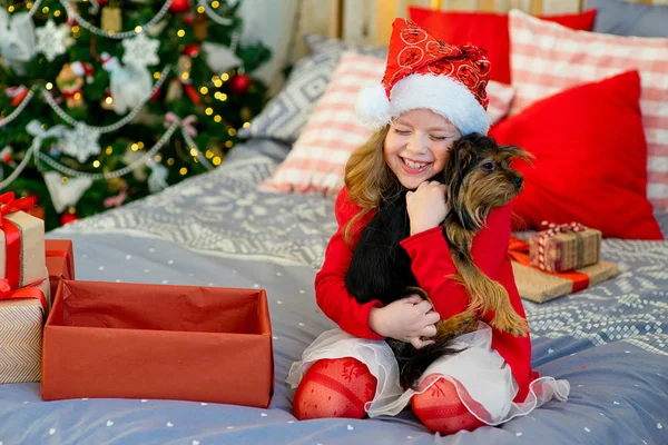 Bonne petite fille et chien à Noël — Photo