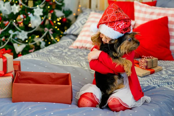 Bonne petite fille et chien à Noël — Photo