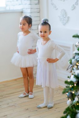 Noel ağacı yakınındaki ders öğrenme iki genç bale dansçıları