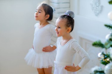 Noel ağacı yakınındaki ders öğrenme iki genç bale dansçıları