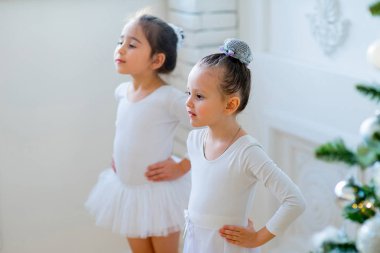 Noel ağacı yakınındaki ders öğrenme iki genç bale dansçıları