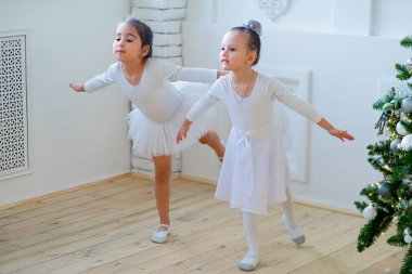 Noel ağacı yakınındaki ders öğrenme iki genç bale dansçıları