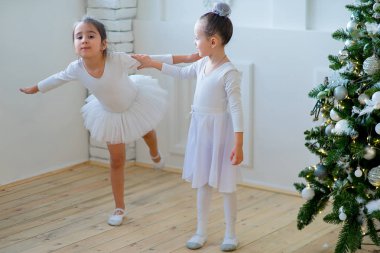 Noel ağacı yakınındaki ders öğrenme iki genç bale dansçıları