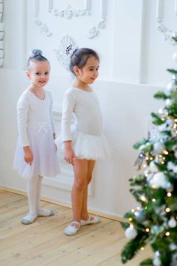 Noel ağacı yakınındaki ders öğrenme iki genç bale dansçıları