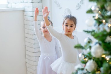 Noel ağacı yakınındaki ders öğrenme iki genç bale dansçıları