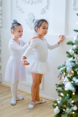 Noel ağacı yakınındaki ders öğrenme iki genç bale dansçıları