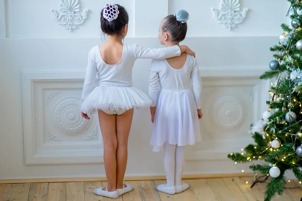 Noel ağacı yakınındaki ders öğrenme iki genç bale dansçıları