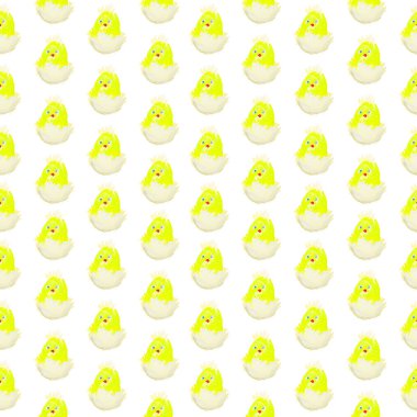 Paskalya civciv çıkım izole desen