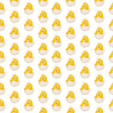 Paskalya civciv çıkım izole desen