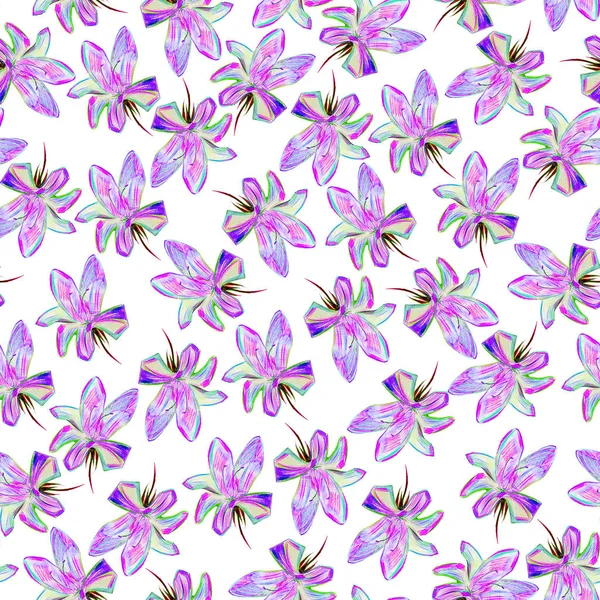 Modern flowers background isolated — Stock Photo, Image