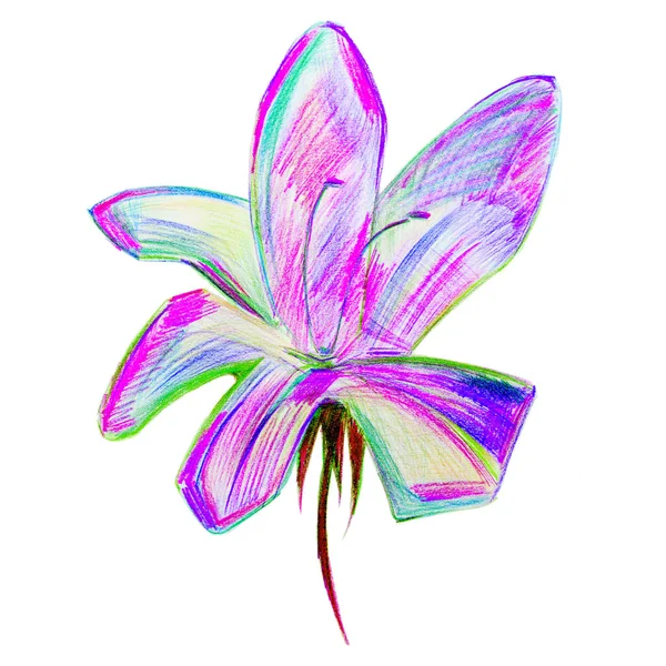 Современный цветок изолирован — стоковое фото