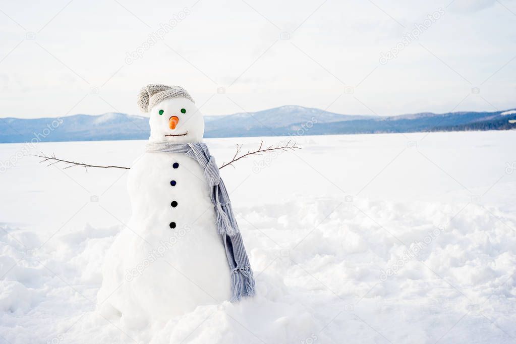 Snowman in a scarf and hat