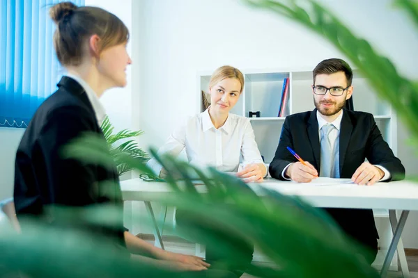 Arbeidsintervju pågår – stockfoto