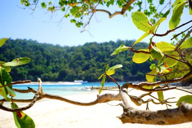 Tayland 'da tropik plaj