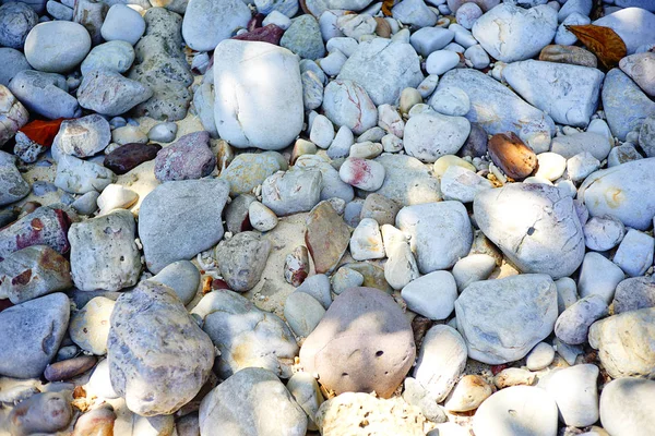 Pebble beach and sea — Stock Photo, Image