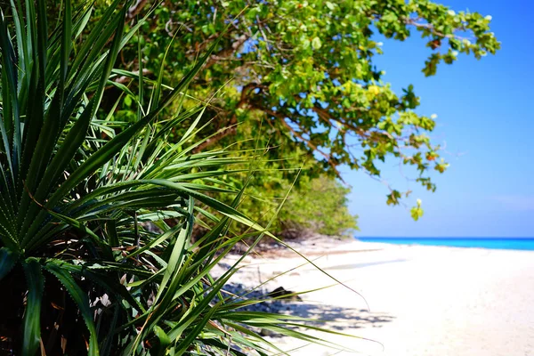 Tropischer Strand in Thailand — Stockfoto