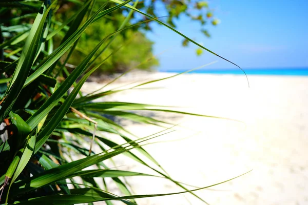 Tropischer Strand in Thailand — Stockfoto
