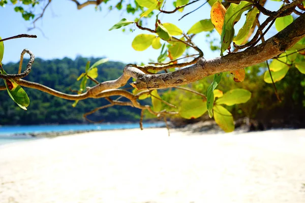 Spiaggia tropicale in Thailandia — Foto Stock