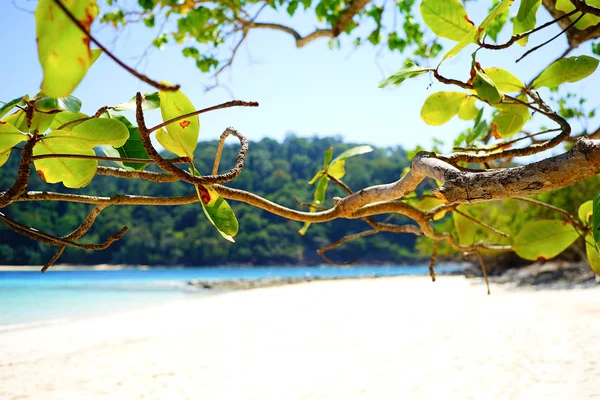 Spiaggia tropicale in Thailandia — Foto Stock