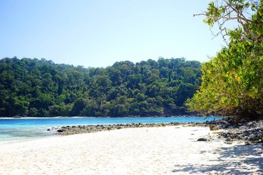Tayland 'da tropik plaj