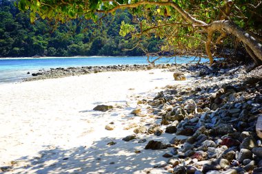 Tayland 'da tropik plaj