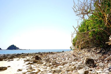 Tayland 'da tropik plaj