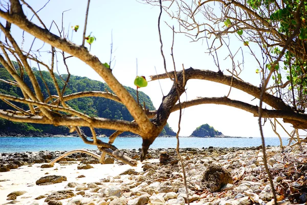 Spiaggia tropicale in Thailandia — Foto Stock