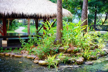 Tropikal hotel resort