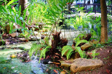 Tropikal hotel resort